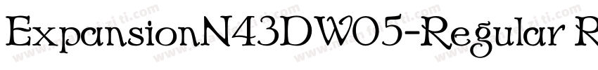 ExpansionN43DW05-Regular Regula字体转换
